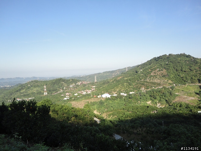 2011還是瘋了-123瘋兩百