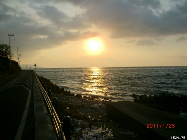 寒冬中的樂事--環日本淡路島二日遊
