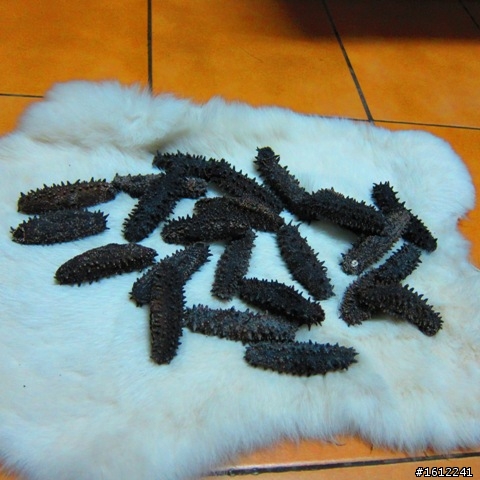 年夜飯逸品開箱文!!我家老爺這次佛心來著