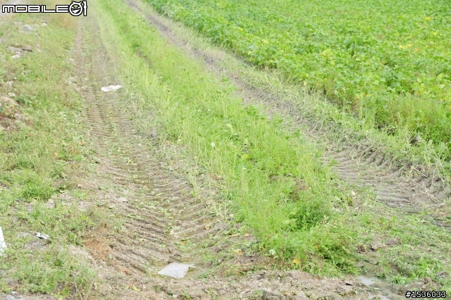開著Luxgen SUV拾毛豆(並為熱心的農民朋友作播秧機、毛豆採收機開箱文)
