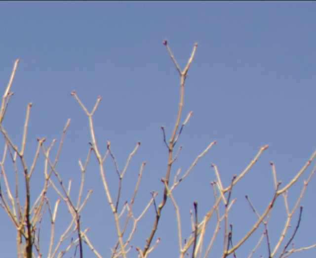 D7000, D300, 與隨身鏡之測試