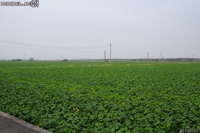 開著Luxgen SUV拾毛豆(並為熱心的農民朋友作播秧機、毛豆採收機開箱文)