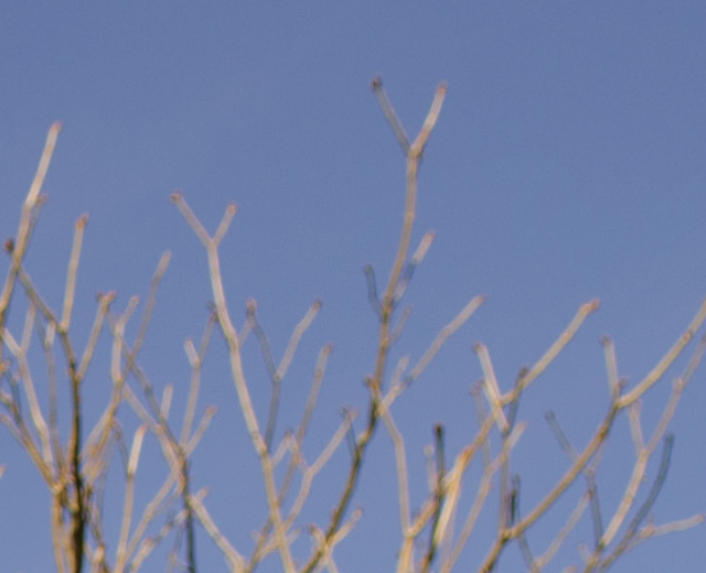 D7000, D300, 與隨身鏡之測試