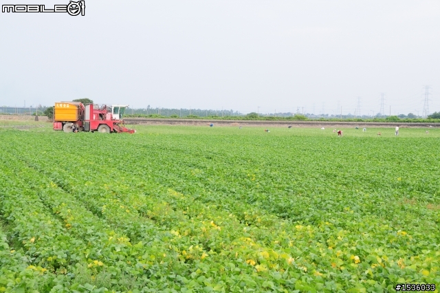 開著Luxgen SUV拾毛豆(並為熱心的農民朋友作播秧機、毛豆採收機開箱文)