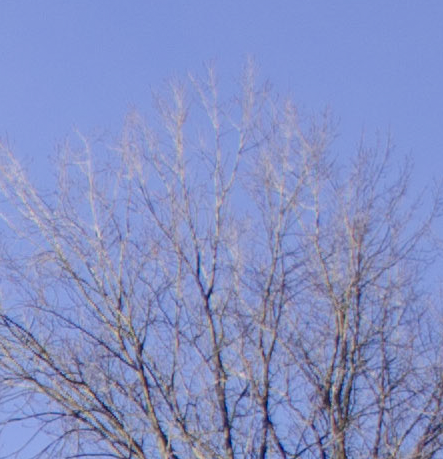 D7000, D300, 與隨身鏡之測試