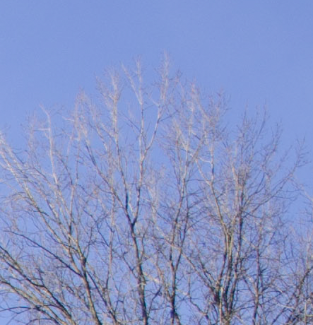 D7000, D300, 與隨身鏡之測試