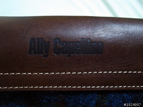 小小臭酸包Ally Capellino