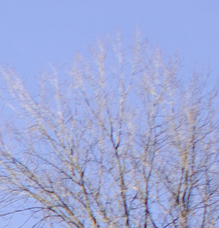 D7000, D300, 與隨身鏡之測試