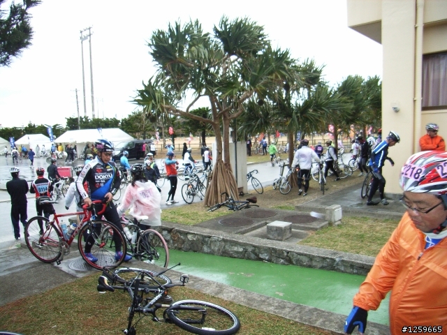 CENTURY RUN 2011 記實