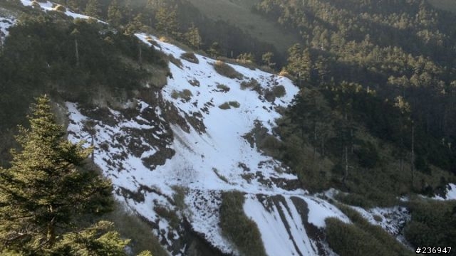 1/23 挑戰全程短袖上合歡山武嶺賞殘雪成功