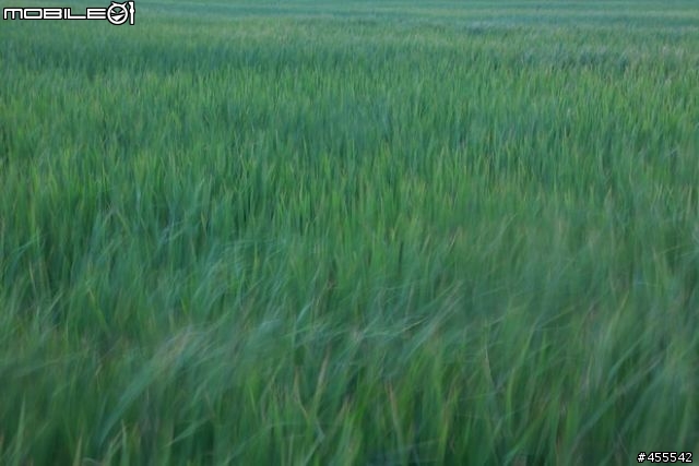烈士壯年,雄心不已-2010年5D Mark II使用回顧。