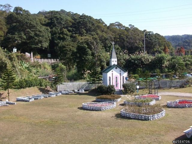 賞楓賞梅-大溪慈湖角板山自行車快樂遊