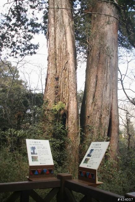玉山主峰一日單攻,三陽風雲重返榮耀計畫(全文更新完畢1/11)