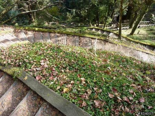 玉山主峰一日單攻,三陽風雲重返榮耀計畫(全文更新完畢1/11)