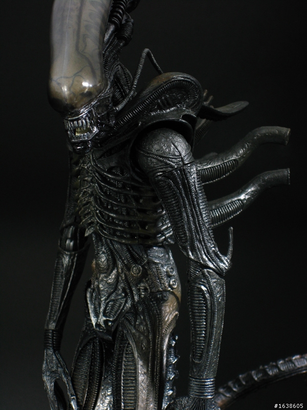 NECA Alien & Predator 2 pack (經典異形篇)