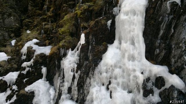 1/23 挑戰全程短袖上合歡山武嶺賞殘雪成功