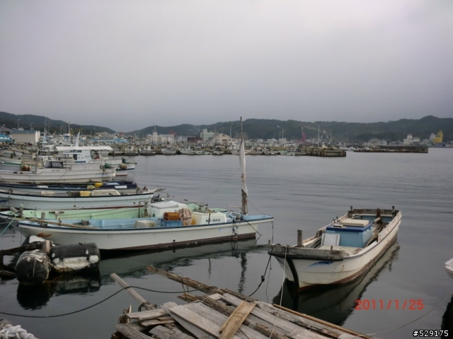 寒冬中的樂事--環日本淡路島二日遊