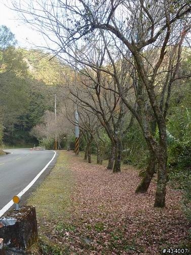 玉山主峰一日單攻,三陽風雲重返榮耀計畫(全文更新完畢1/11)