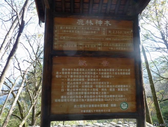 玉山主峰一日單攻,三陽風雲重返榮耀計畫(全文更新完畢1/11)