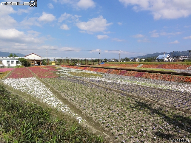 2010.12.25~12.29~五天四夜~環島慶生行~