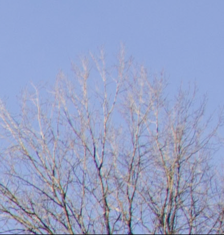 D7000, D300, 與隨身鏡之測試