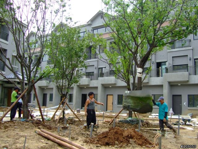 日式豪宅中庭景觀