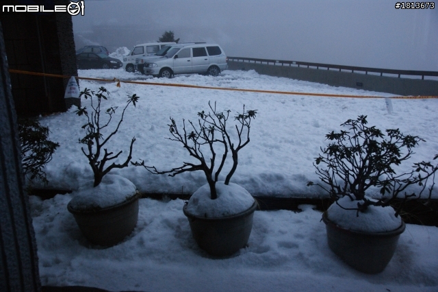 峰迴路轉的合歡山松雪樓之旅