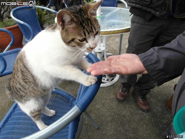猴硐&山城九份歷史一日遊