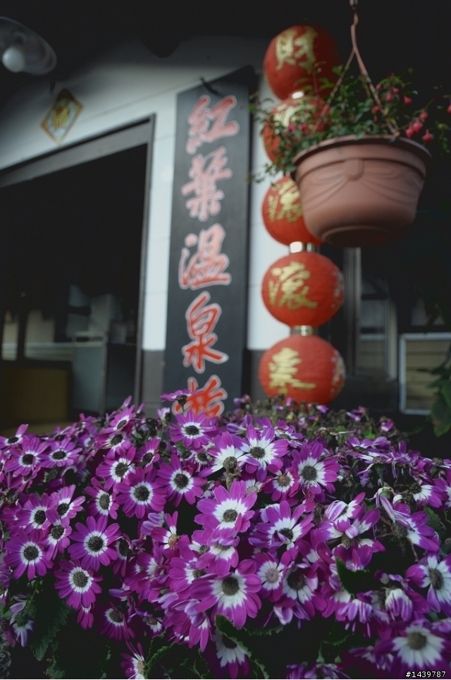 201102環島五天四夜~心的旅程