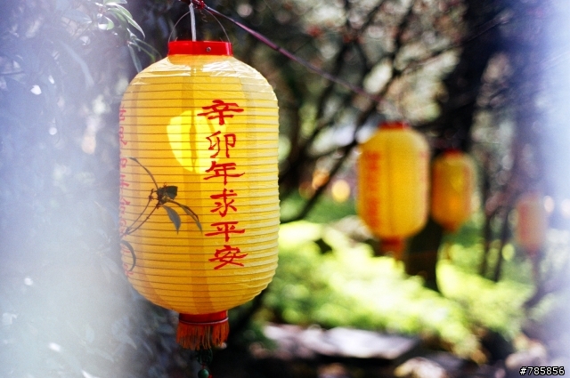 慘不忍睹的照片