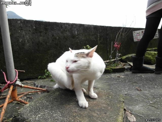 猴硐&山城九份歷史一日遊