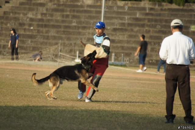 2011年WUSV世界盃防衛犬訓練比賽台灣代表隊選拔賽
