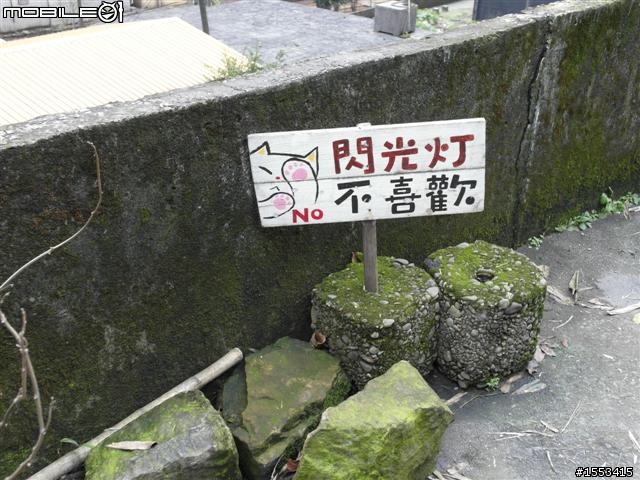 猴硐&山城九份歷史一日遊
