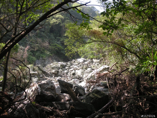 戀戀宜蘭山海情