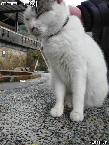 猴硐&山城九份歷史一日遊