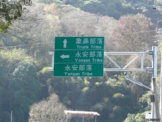 【圖文分享】年初五苗栗山路(天狗、象鼻、達觀)熱血奔騰遨遊