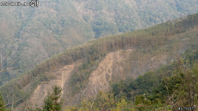 【圖文分享】年初六新竹深山(錦屏、秀巒、司馬庫斯)熱血沸騰遨遊
