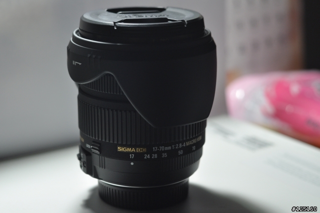 17-70 F2.8-4 HSM OS & B005 決擇(已入手)+70mm近拍 (希望對選擇苦惱的朋友有幫助)