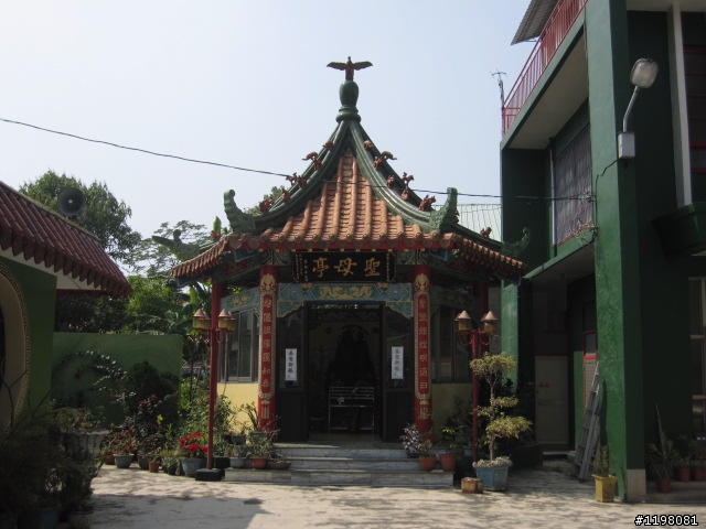回嘉真好