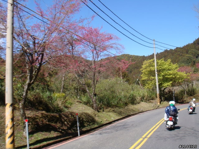 我用GT125運動:在阿里山的兩天一夜