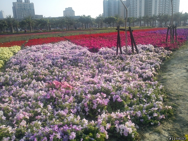 高雄市凹子底 , 很高興目前能有這樣的居住環境 ~