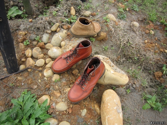 Red Wing - 891 & 另外兩雙改底分享~