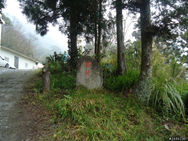 北橫公路濕漉漉