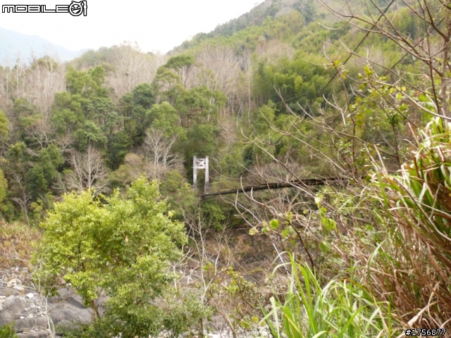 【圖文分享】年初六新竹深山(錦屏、秀巒、司馬庫斯)熱血沸騰遨遊