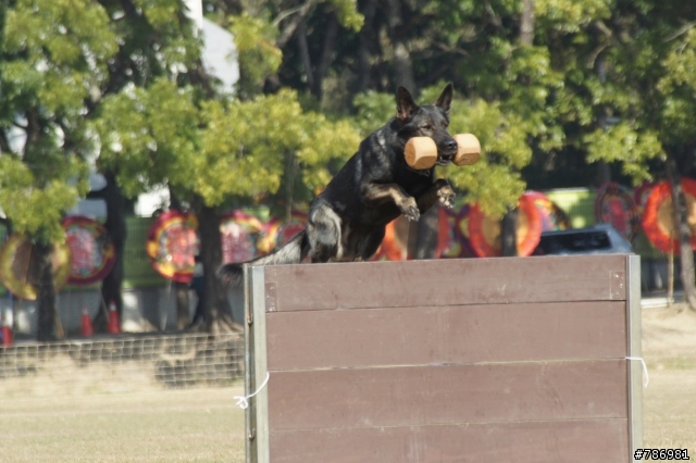 2011年WUSV世界盃防衛犬訓練比賽台灣代表隊選拔賽