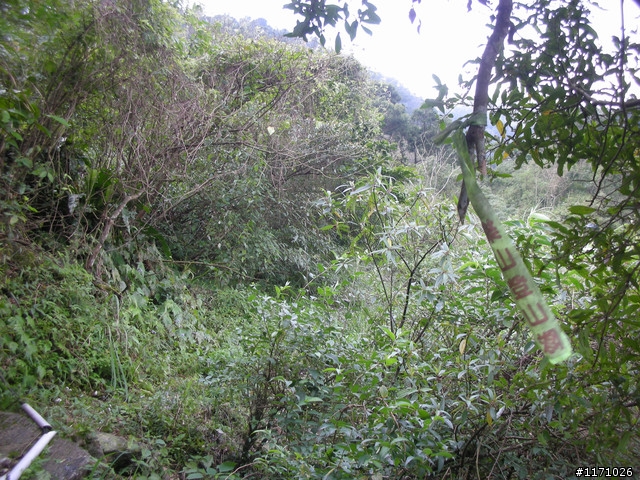 戀戀宜蘭山海情