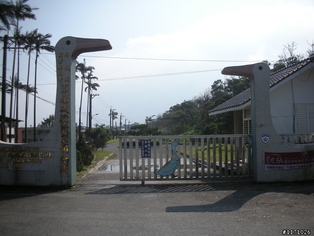 戀戀宜蘭山海情