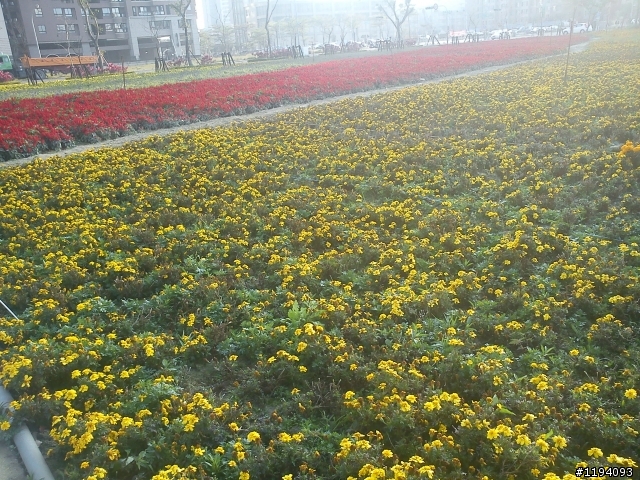 高雄市凹子底 , 很高興目前能有這樣的居住環境 ~