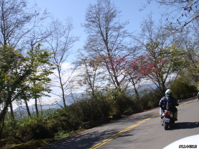 我用GT125運動:在阿里山的兩天一夜