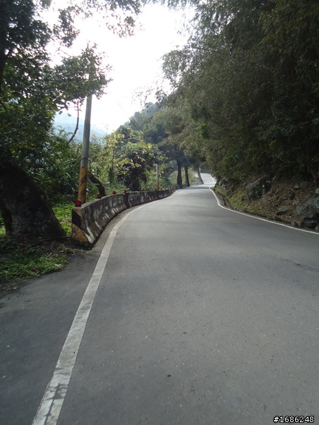 北橫公路濕漉漉